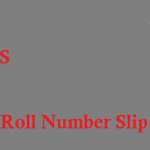 National Testing Service NTS Roll Number Slips Download