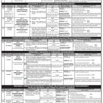 PPSC Jobs January Apply Online Advertisement Number 37