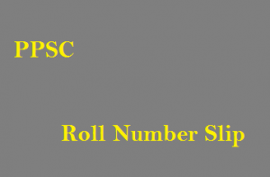 PPSC Roll Number Slip download