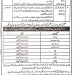 Elementary and Secondary Education Department KPK SST Jobs Result NTS 09th 10th January Answer Key