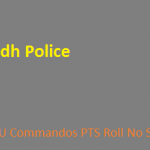 Sindh Police SSU Commandos PTS Roll Number Slip
