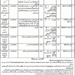 District and Session Judge Mianwali Jobs Final Selection List